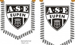 A.S.E_banner1525